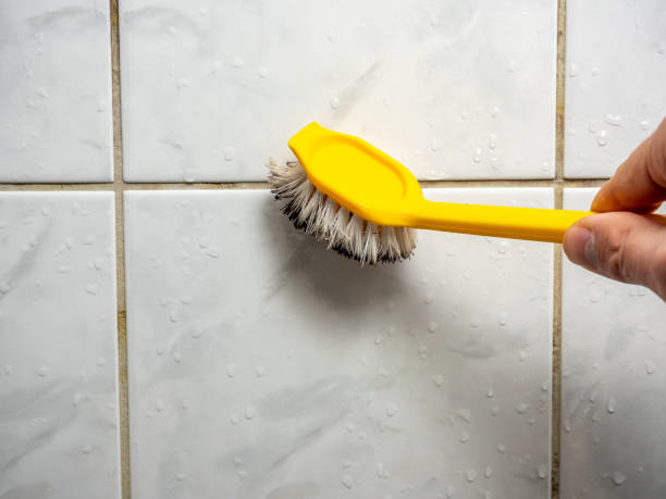Best Office Mold Removal Services  in Peru, IL